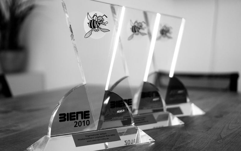 Bild mit drei BIENE Awards für barrierefreie Webseiten